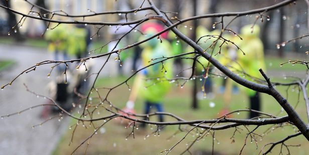 Субботники в парках Москвы пройдут на 75 площадках