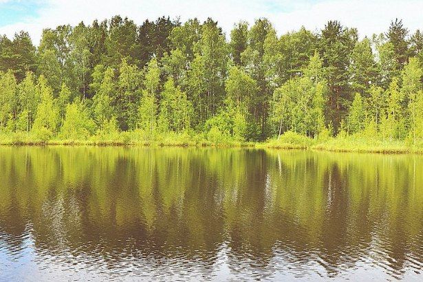 Искупаться в Зеленограде этим летом можно будет лишь в двух водоемах