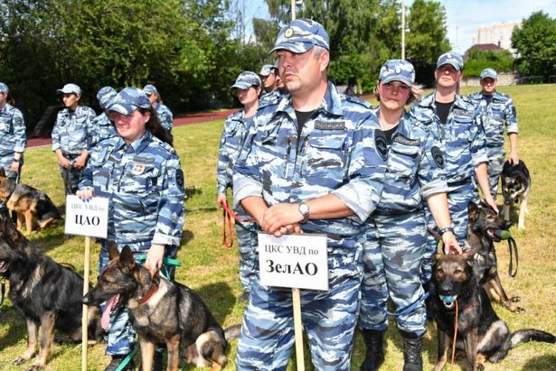 Зеленоградские кинологи успешно выступили на городских соревнованиях