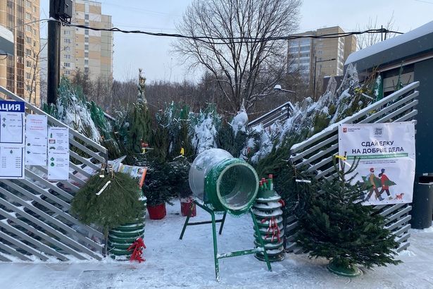 Елочные базары в Зеленограде откроются 20 декабря