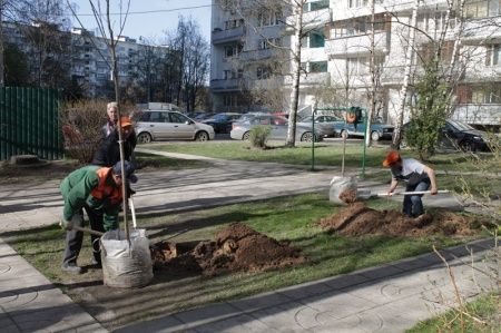 Месячник осеннего благоустройства