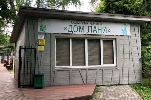 Экостудия  «Дома лани» познакомит ребят с природным миром Зеленограда