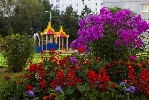 Дворы в столице благоустраивают по единому стандарту комфорта