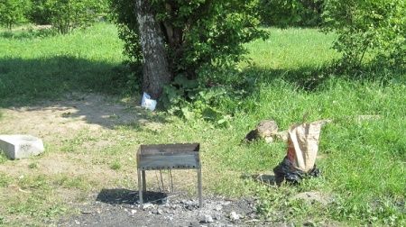 От экологического часа к экологической программе