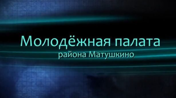 Молодежная палата Матушкино активно работает в своем районе