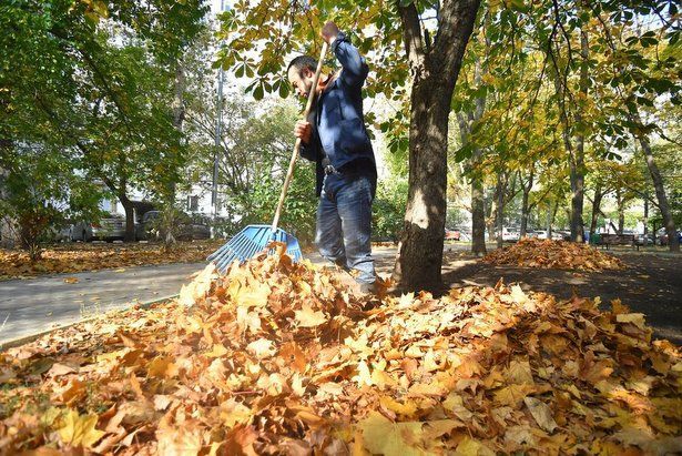 В Зеленограде состоится месячник осеннего благоустройства
