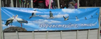 День птиц в Зеленограде отметили весело и интересно