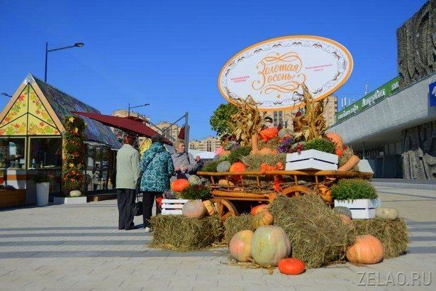 На площади Юности открылся гастрономический фестиваль «Золотая осень»