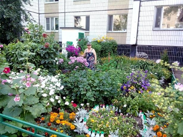 В Матушкино продолжается благоустройство территории по обращениям жителей
