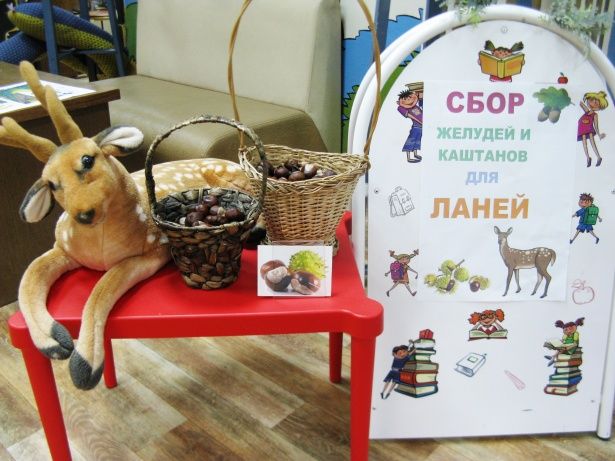 Жители Матушкино проявили активность в сборе лесных плодов для ланей
