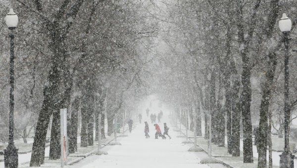 В Москве прошел самый мощный снегопад за последние 50 лет