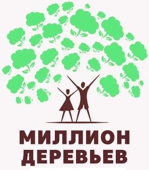 Этой осенью во дворах Матушкино высадят около полутора тысяч кустов сирени и спиреи