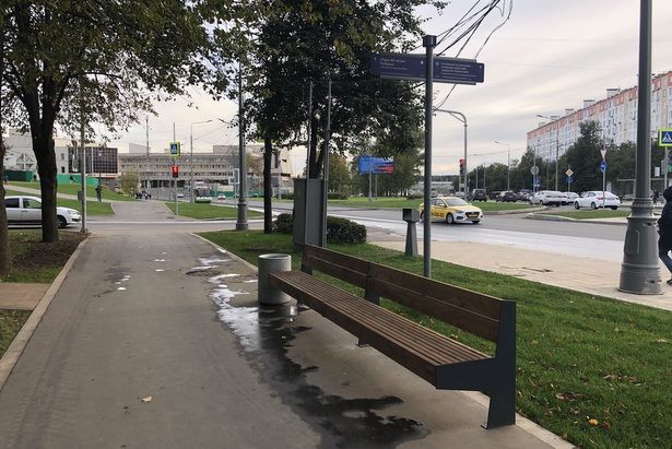Высаживать деревья на Центральном проспекте Зеленограда будут в ночное время