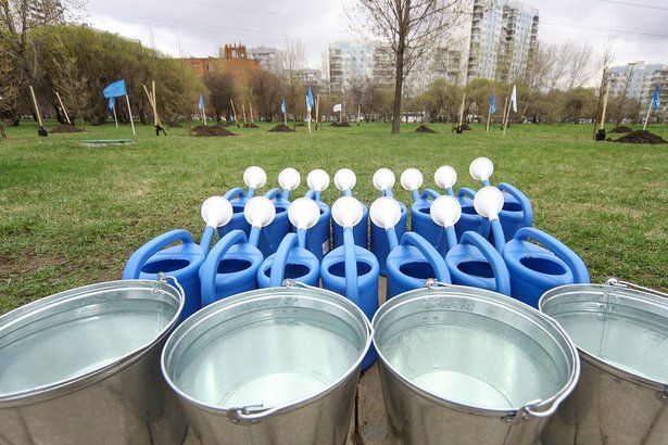 В Зеленограде выполнили все планы весеннего благоустройства