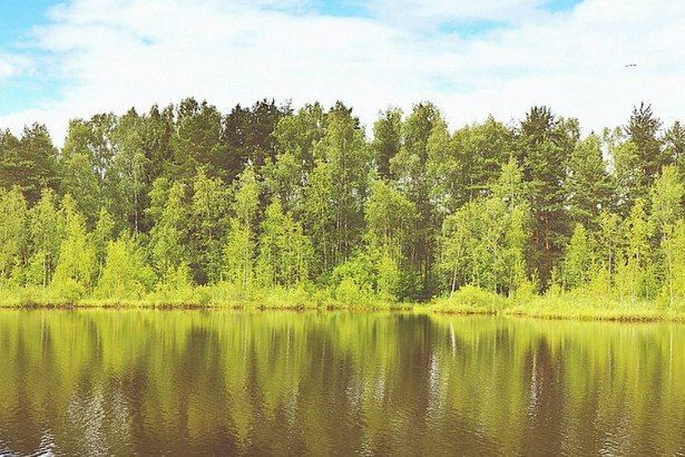 Мосприрода приготовила для зеленоградцев увлекательные мероприятия у водоемов