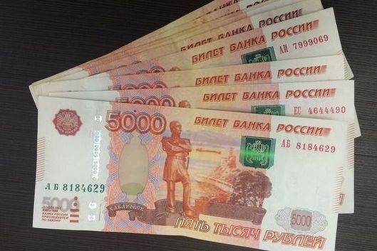 Стражи порядка задержали подозреваемого в краже денег