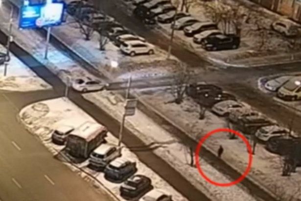 Кража телефона в 15 микрорайоне Зеленограда закончилась поимкой приезжего преступника