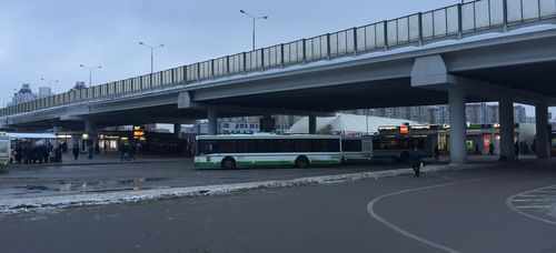 Автобус №10 будет развозить участников Крещенских купаний до трех часов ночи