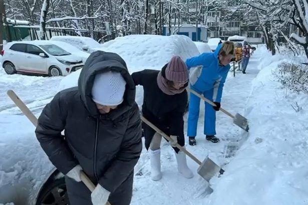 Общественные советники Матушкино являются примером трудолюбия и активности