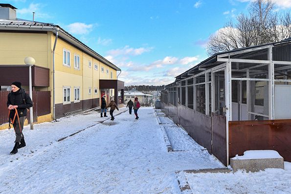 После сноса самостроя территории отдали приюту для животных «Зеленоград»