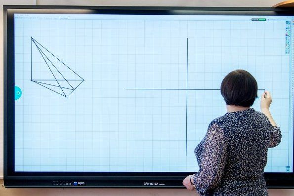 Эксперт РАН: МЭШ показала себя как практически работающий инструмент