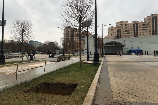 На площади Юности готовятся к посадке новых деревьев взамен засохших