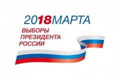 Общественная палата столицы направит наблюдателей во все территориальные избиркомы