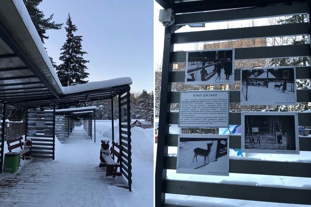 В «Доме лани» проходят три фотовыставки