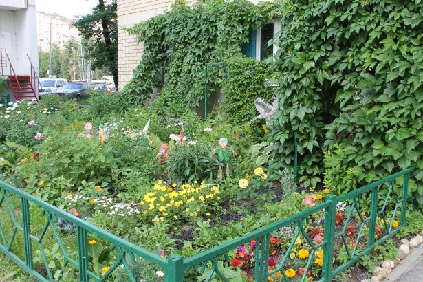 В Матушкино выбрали самые нарядные палисадники