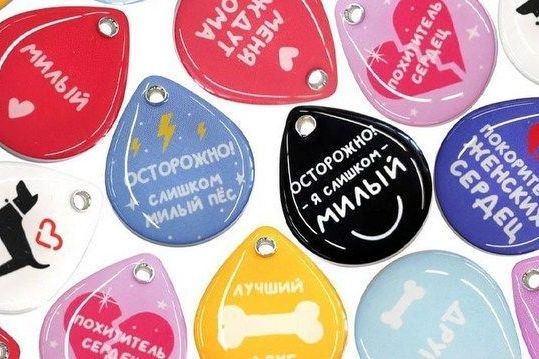 Зеленоградская компания создала продукцию идентификации домашних животных