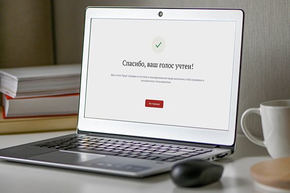 ОШ: Все политические партии отмечают высокий уровень организации ДЭГ в Москве