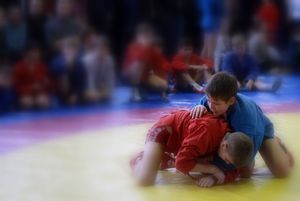 В районе Матушкино прошли соревнования юных самбистов 