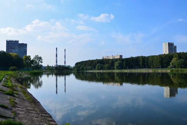 В зеленоградском водоеме едва не утонул пьяный купальщик