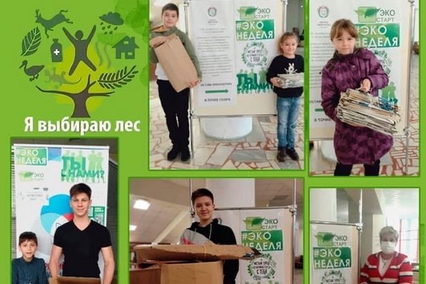 В ЗДТДиМ продолжаются экологические мероприятия