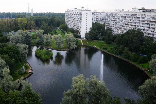 Территория зоны отдыха «Быково болото» станет одним из знаковых объектов благоустройства 2024 года