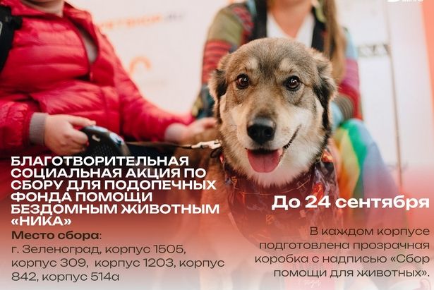 В Зеленограде до 24 сентября будут собирать помощь для животных из приюта