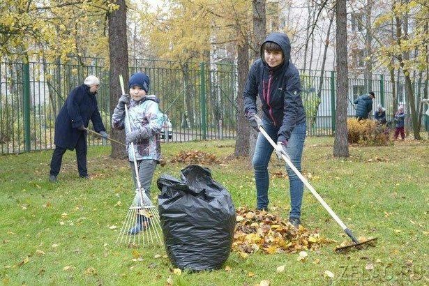 В прошедшем в ЗелАО субботнике участвовали более 1100 человек