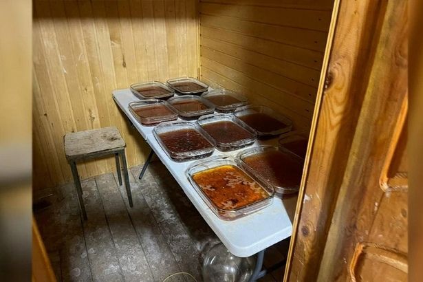 Жители Зеленограда  были замешены в деле по производству и  распространению наркотиков