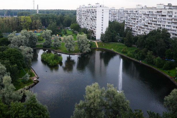 Экологический фестиваль в районе Матушкино не состоится