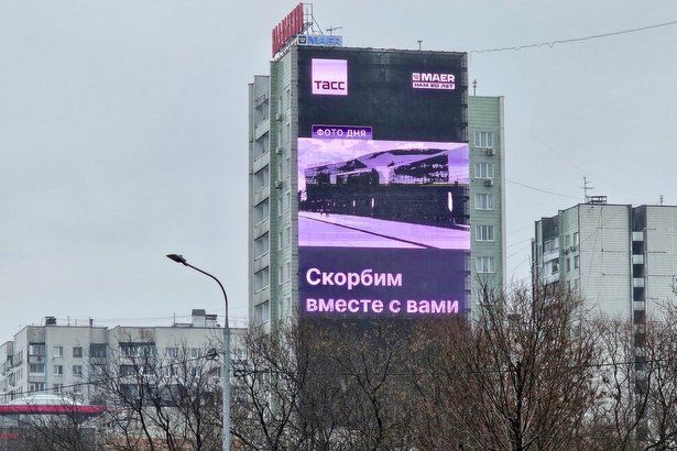 Зоопарк и музеи Москвы направят выручку за выходные в помощь пострадавшим