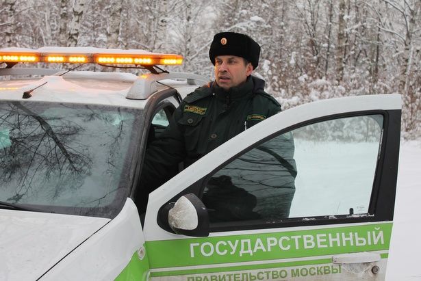 Акция «Операция «Ель» пройдет накануне Нового года