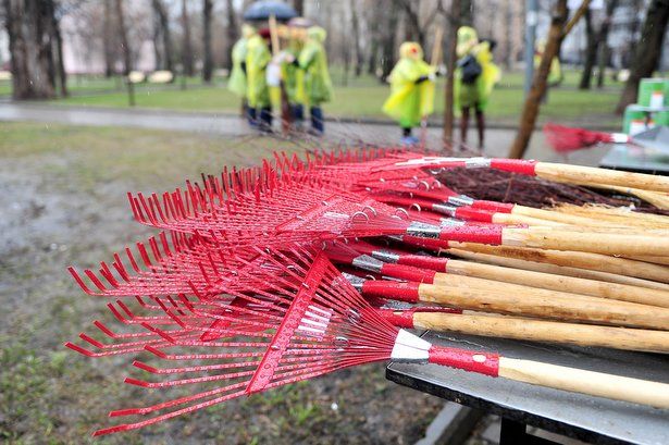Школьники Матушкино на летних каникулах смогут подработать дворниками