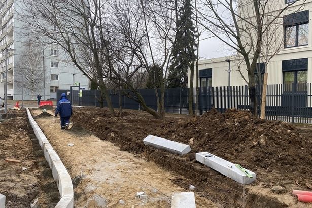 Возле обновленных городских поликлиник посадят деревья и кустарники