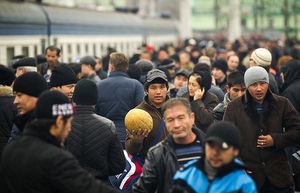 Некоторые зеленоградские организации продолжают привлекать к работе мигрантов-нарушителей 