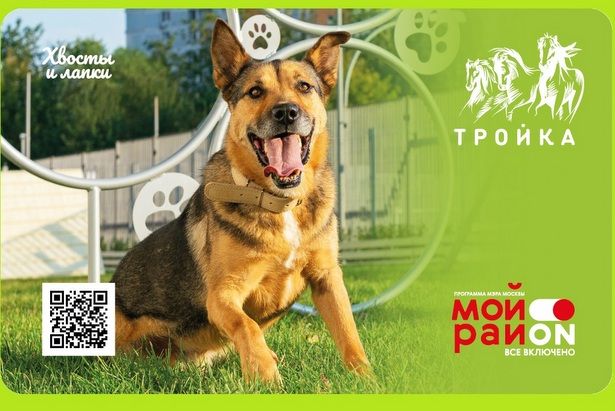 ​Столичную транспортную карту «Тройка» украсят новым дизайном