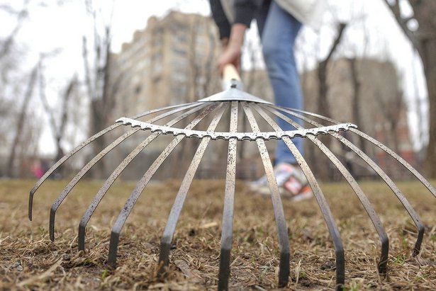 15 апреля в столице и Зеленограде состоится весенний субботник