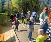 На Быково болото после зимовки вернулись лебеди