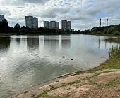 С проектом благоустройства Школьного озера в Зеленограде ознакомился и. о. префекта Анатолий Смирнов