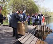 В Матушкино вернулись лебеди